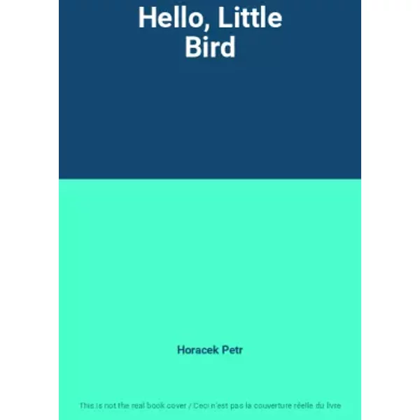 Hello, Little Bird - Horacek Petr