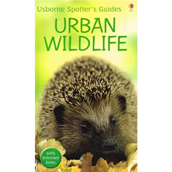Urban Wildlife - Diana Shipp