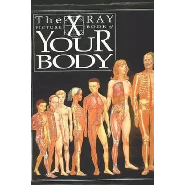 Your Body (X-ray Picture Books) - Kathryn Harris