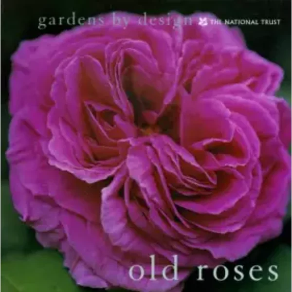 Old Roses - Graham Murphy