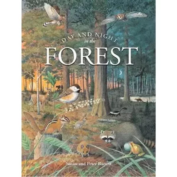 Day and Night in the Forest - Susan Barrett