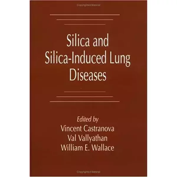 Silica and Silica-Induced Lung Diseases - Vincent Castranova, William E. Walker, Val Vallyathan
