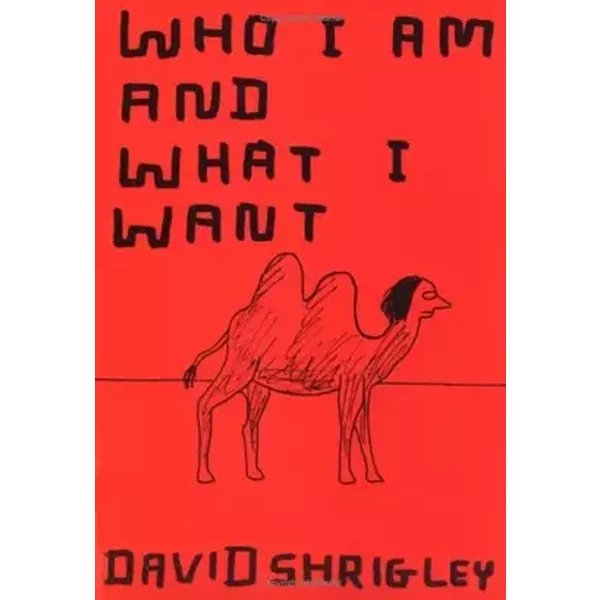 Who I am and What I Want - David Shrigley