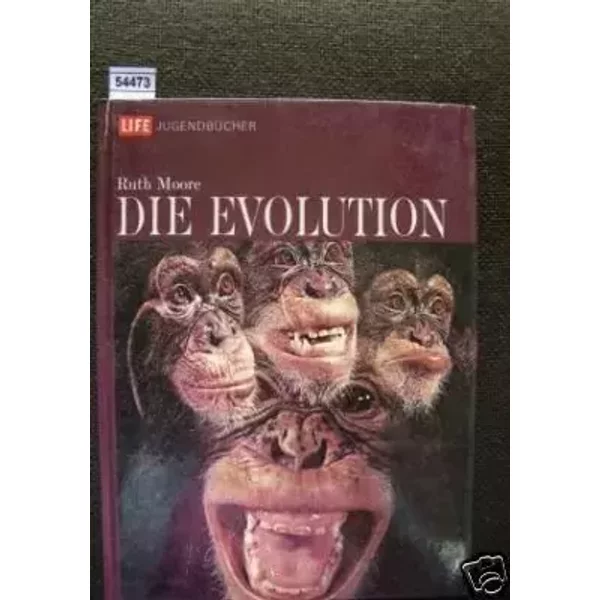 Evolution - Ruth Moore
