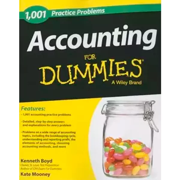 Accounting: 1,001 Practice Problems For Dummies - Kenneth W. Boyd, Kate Mooney