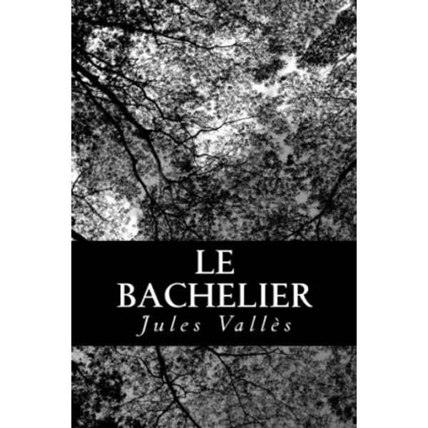 Le Bachelier - Jules VallèS-image