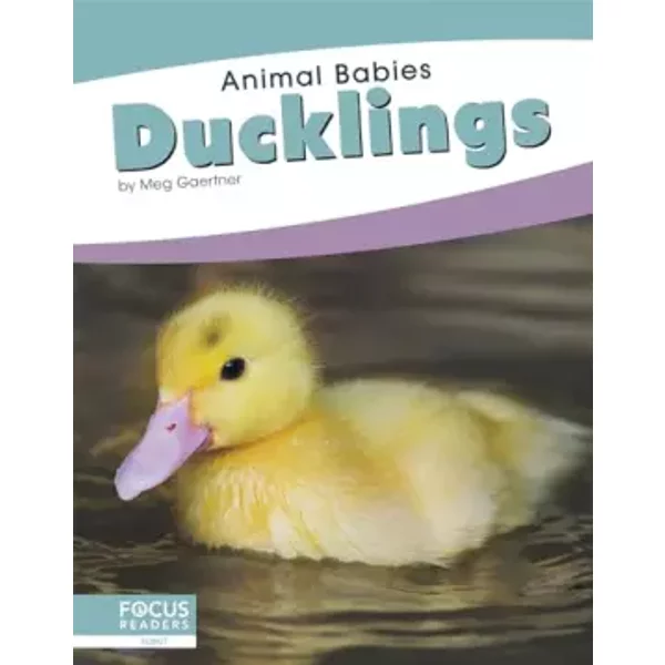 Ducklings (Animal Babies) - Meg Gaertner