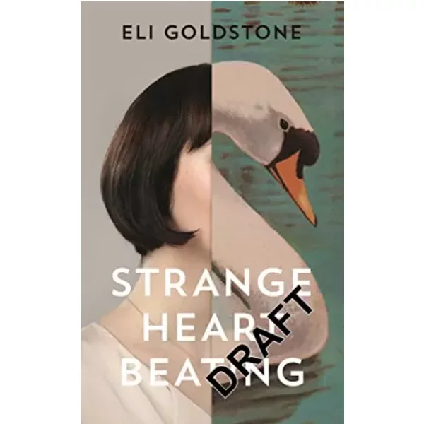 Strange Heart Beating - Eli Goldstone-image