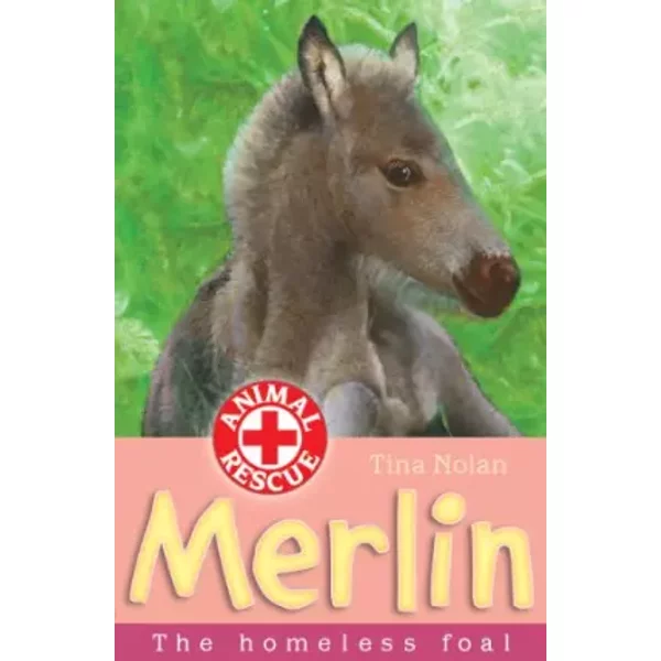 Merlin: The Homeless Foal - Tina Nolan-image