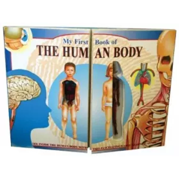My First Book Of The Human Body - John Brook-image