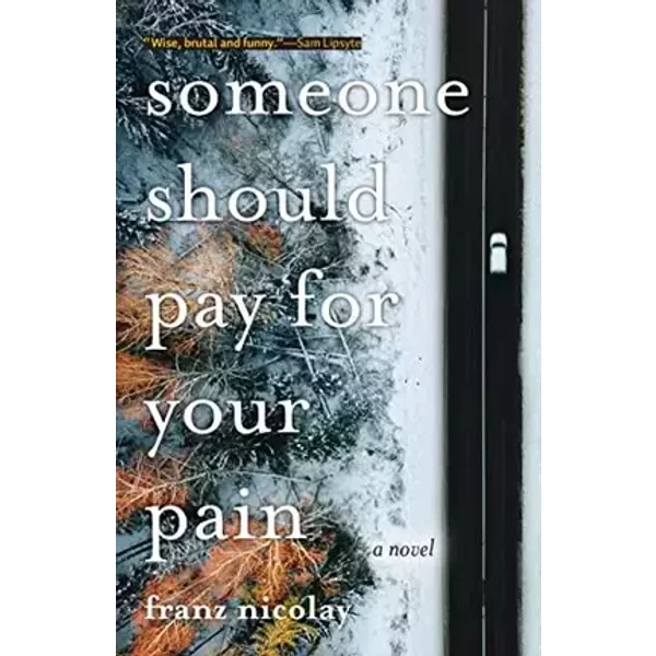 Someone Should Pay for Your Pain - Franz Nicolay