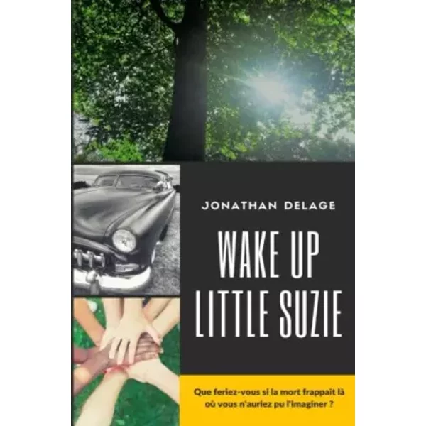 Wake Up Little Suzie - Jonathan Delage-image