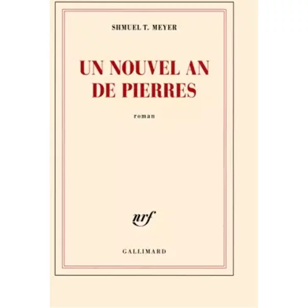 Un Nouvel An De Pierres - Shmuel T. Meyer-image