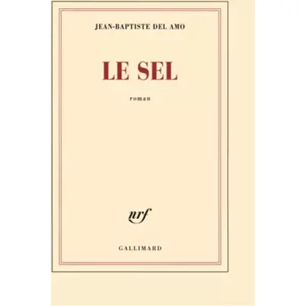 Le Sel - Jean-Baptiste Del Amo-image