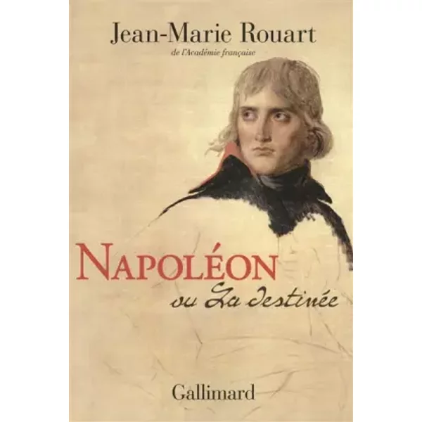 NapoléOn Ou La DestinéE - Jean-Marie Rouart-image