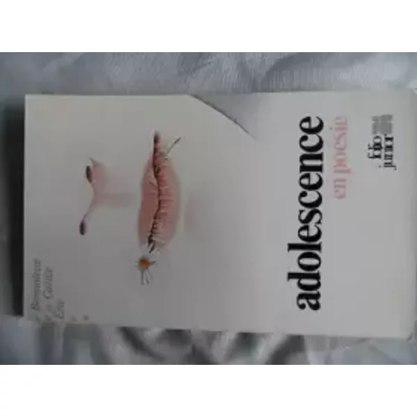 Adolescence En Poesie - Collectif-image