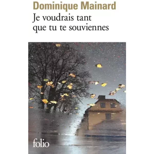 Je Voudrais Tant Que Tu Te Souviennes - Dominique Mainard-image