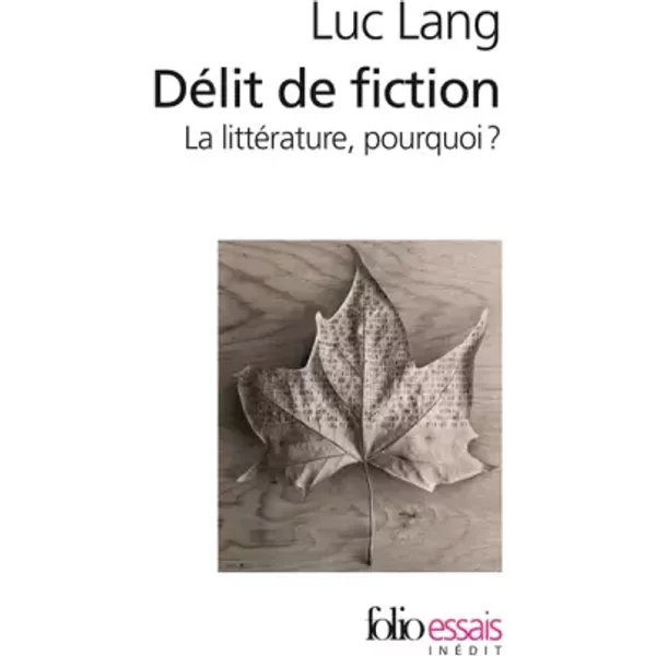 Délit de fiction: La littérature, pourquoi ? - Luc Lang