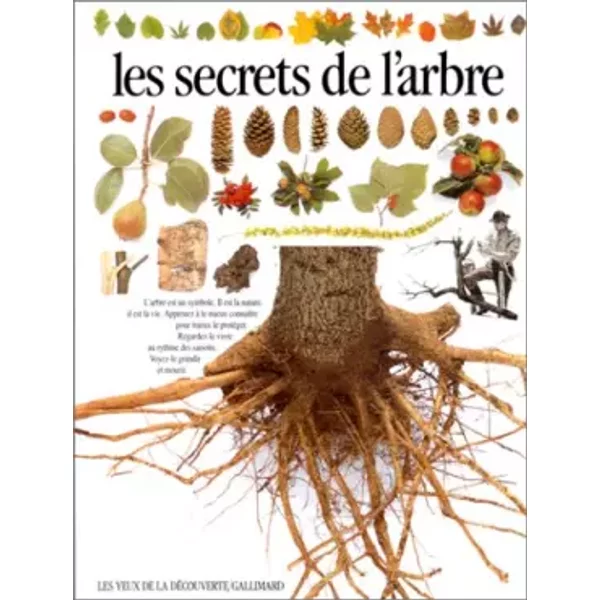 Les Secrets De L'arbre - Burnie-image