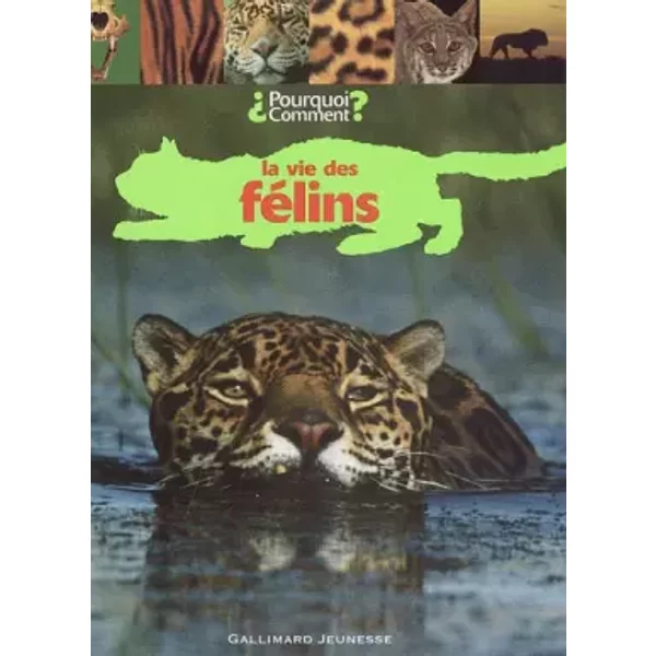 La Vie Des FéLins - Collectif-image