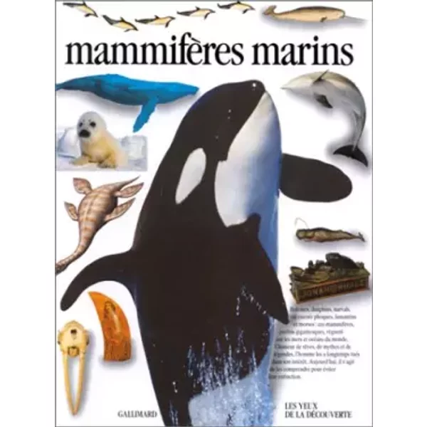MammifèRes Marins - Vassili Papastavrou-image