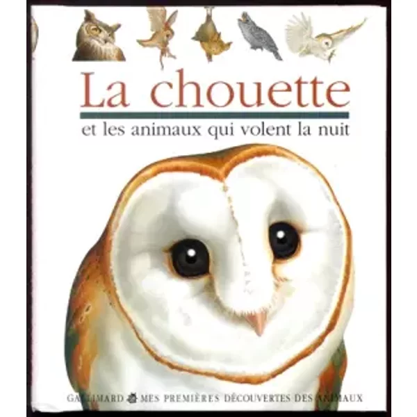 La chouette et les animaux qui volent la nuit - Collectif