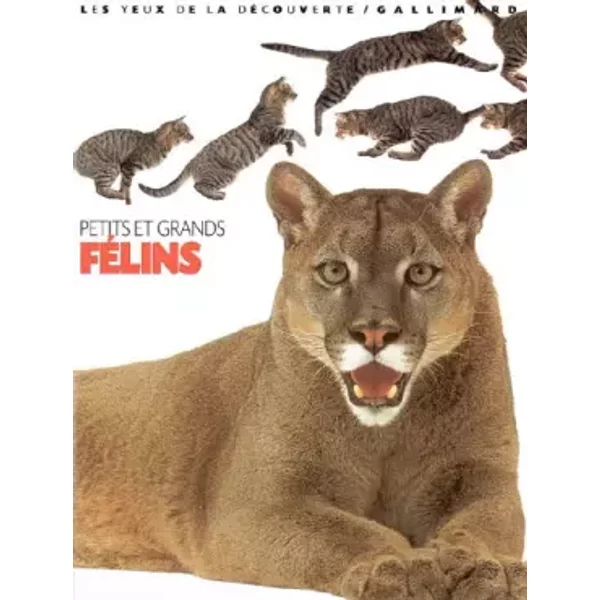 Petits Et Grands FéLins - Juliet Clutton-Brock, Collectif-image