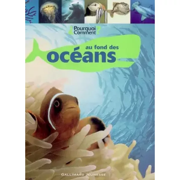 Au Fond Des OcéAns - Dorling Kindersley, Jean-Philippe Riby-image