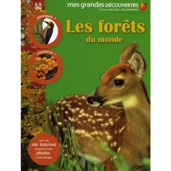 Les ForêTs Du Monde - Collectif-image