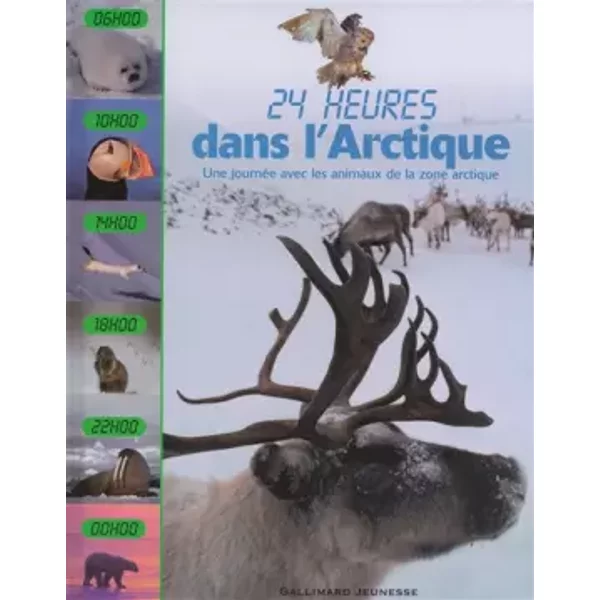 Dans L'arctique: Une JournéE Avec Les Animaux De La Zone Arctique - Lorrie Mack, Catherine Grive-image