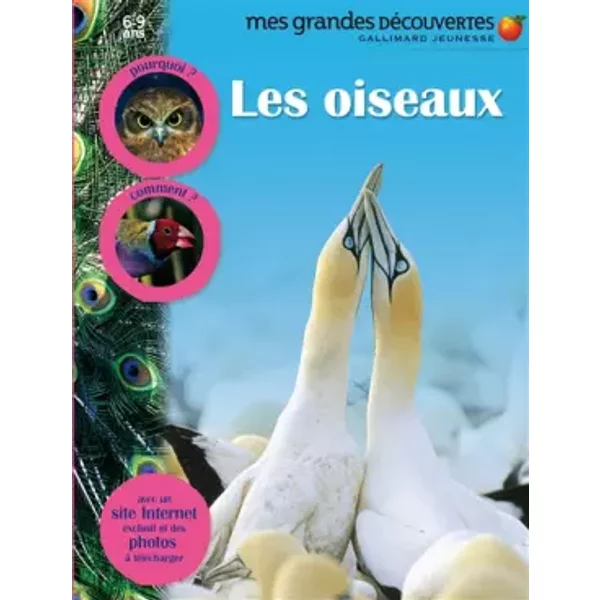 Les Oiseaux - Collectif, Sylvie Deraime-image