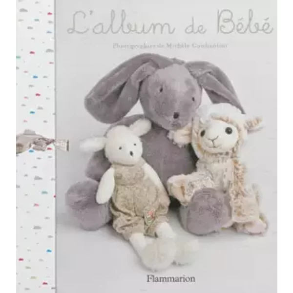 L'album de bebe (ne 2013) - michèle constantini