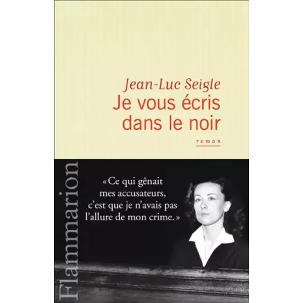 Je Vous éCris Dans Le Noir - Jean-Luc Seigle-image