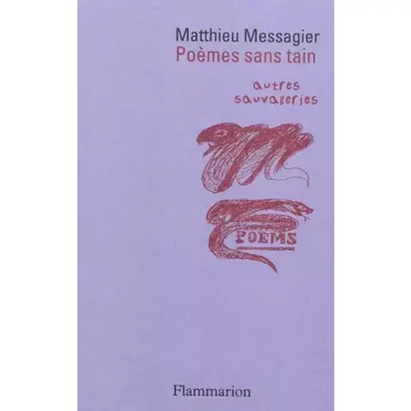 Poèmes sans tain - Matthieu Messagier