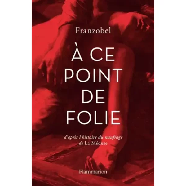 A Ce Point De Folie - Franzobel Et Olivier Mannoni-image