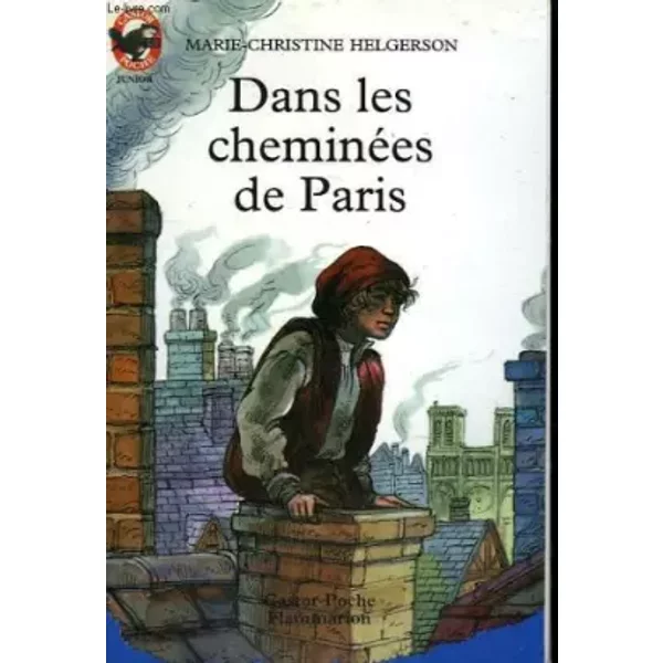 Dans Les CheminéEs De Paris - Marie-Christine Helgerson-image