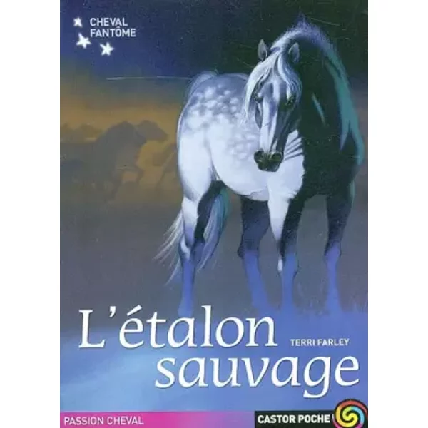 Le Cheval FantôMe, Tome 1 : L'éTalon Sauvage - Catherine Guillet- Danison-image