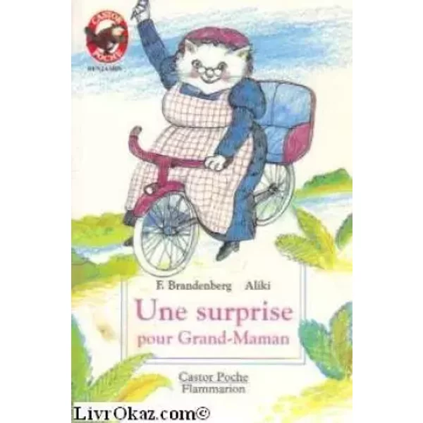 Une surprise pour Grand-Maman - Franz Brandenberg