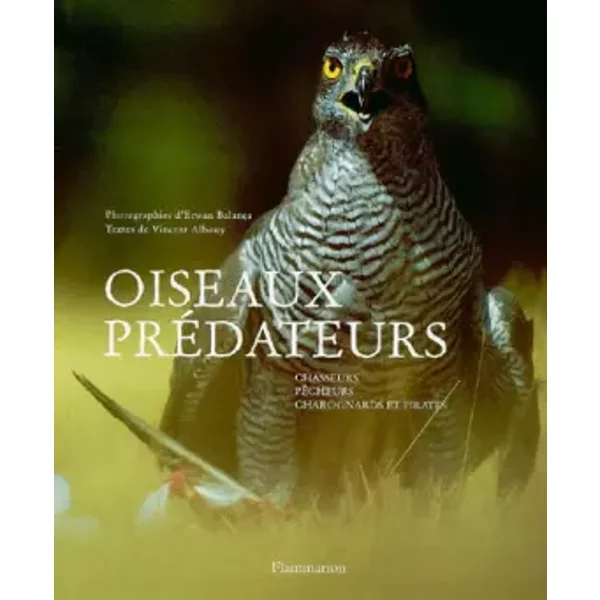 Oiseaux prédateurs, chasseurs, pêcheurs, charognards et pirates - Vincent Albouy, Erwan Balança