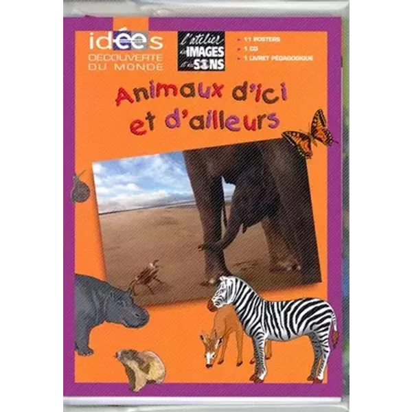 Animaux d'ici et d'ailleurs - Agnès Ceccaldi, Anne Popet, Kerstin Hache, Hervé Thibon