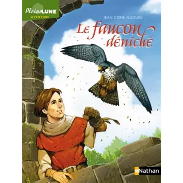Le Faucon DéNiché - Jean-CôMe NoguèS-image