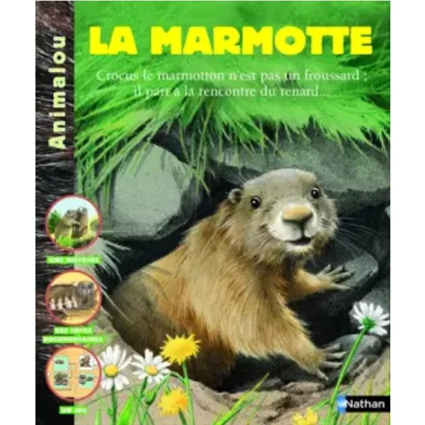 Marmotte Ne - Patricia Holl, Marcelle Geneste, Christophe Merlin, ValéRie Stetten-image