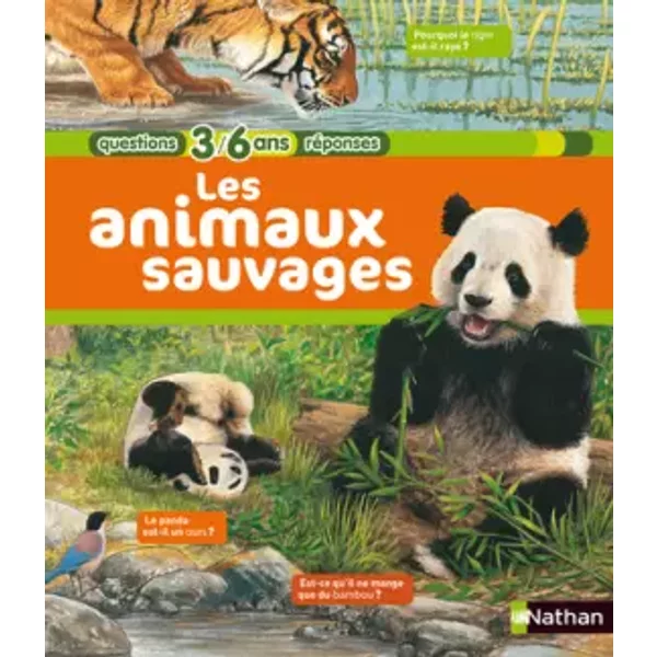 Les Animaux Sauvages - AgnèS Vandewiele-image