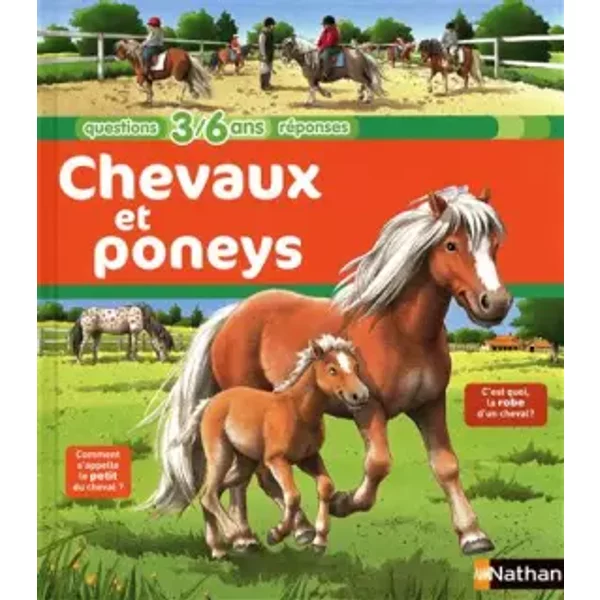 Chevaux Et Poneys - ANNE-SOPHIE Baumann, Marcelle Geneste-image