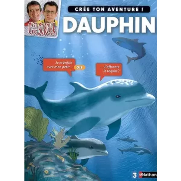 CPS CREE TON AVENTURE DAUPHIN - MADELEINE DENY, BENOIT PERROUD
