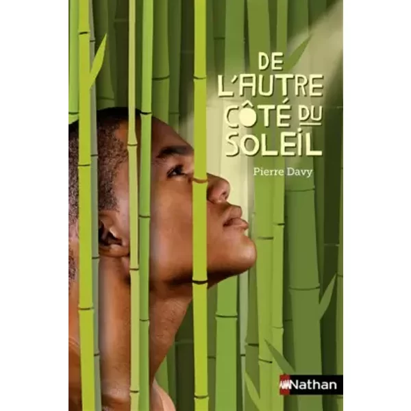 De L'autre CôTé Du Soleil - Pierre Davy-image