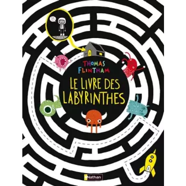 Le Livre Des Labyrinthes - Thomas Flintham, Anne-Marie Naboudet-Martin-image