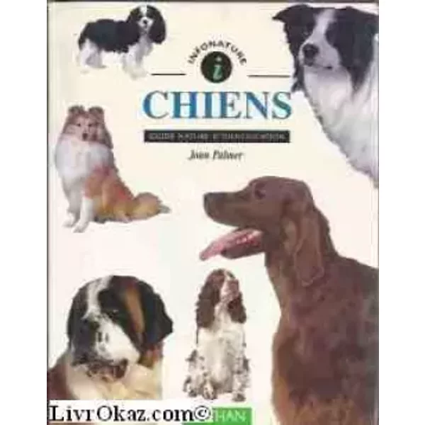 Chiens : Guide Nature D'identification - Collectif-image