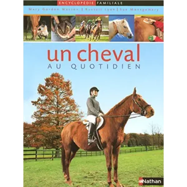 Un cheval au quotidien - Mary Gordon Watson, Russell Lyon, Sue Montgomery, Claire Lefebvre