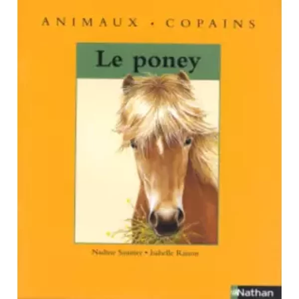 Le Poney - Nadine Saunier-image